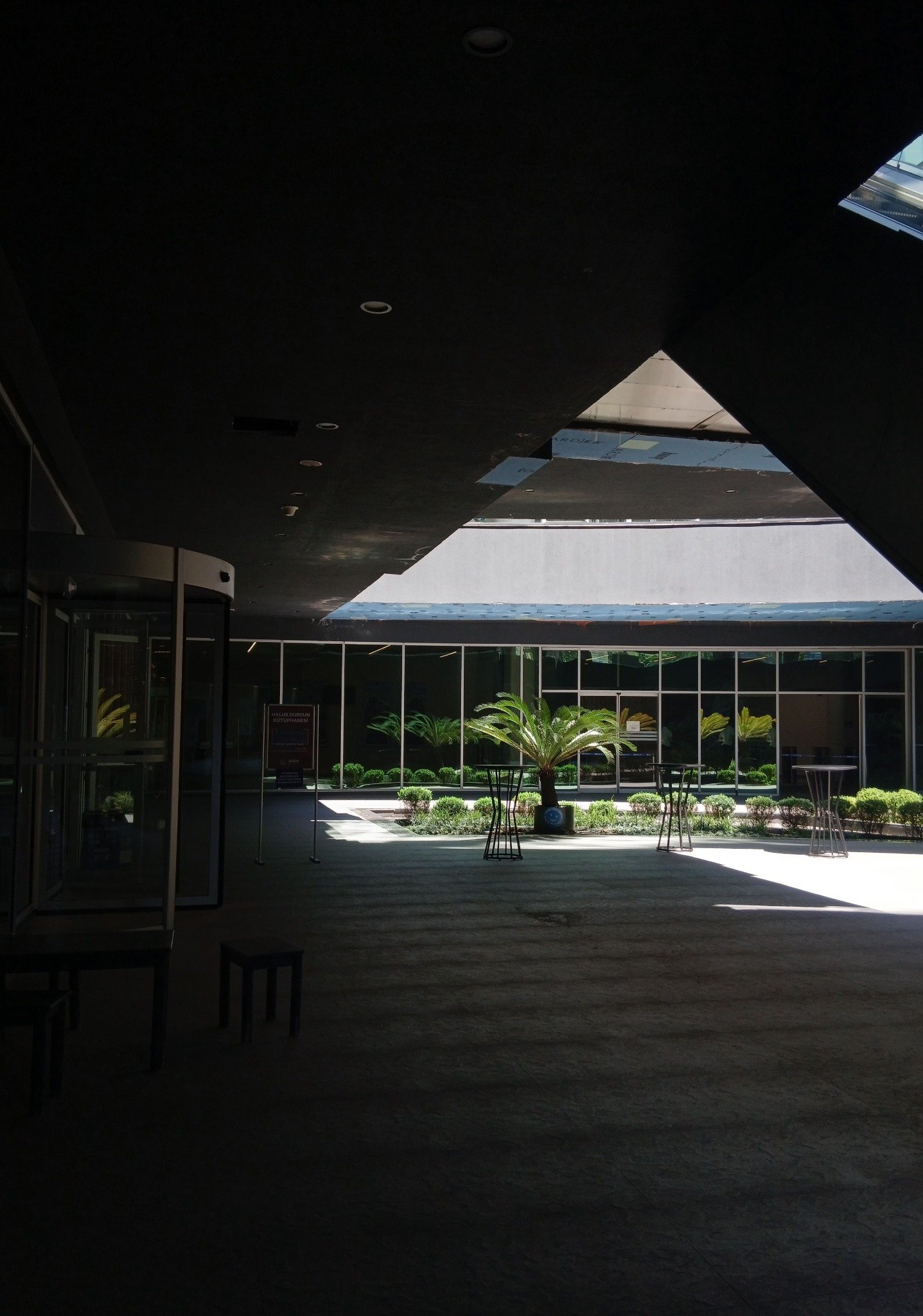 A sunlit planted courtyard framed by contemporary architecture
